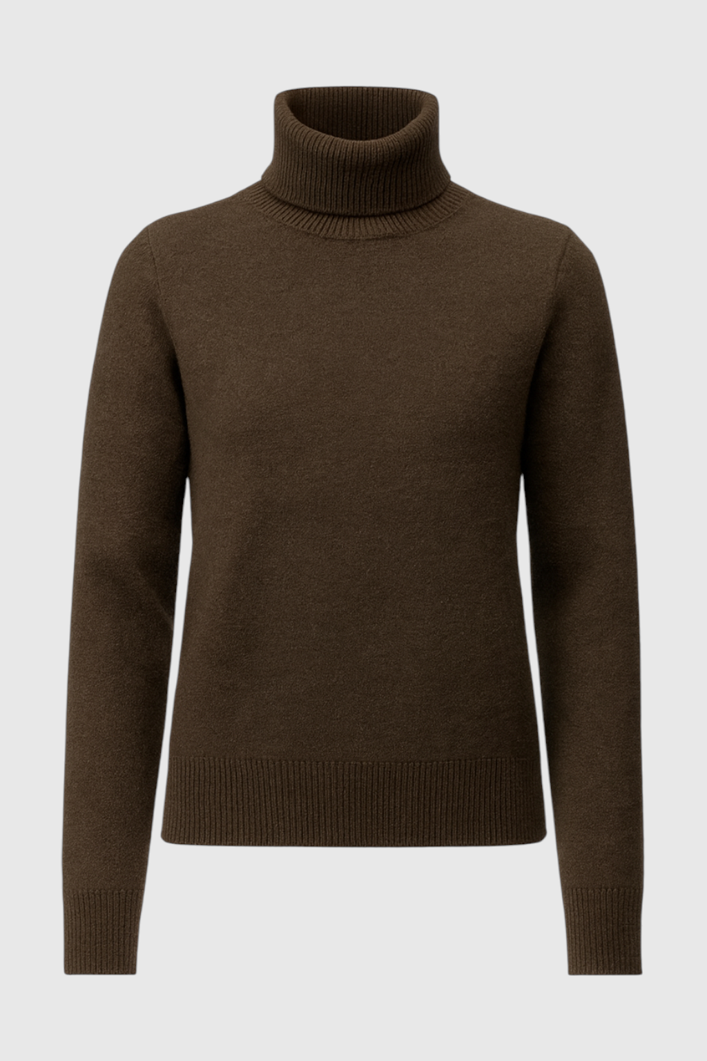 Women's Thermal Turtleneck Sweater Fleece Lined Long Sleeve Cozy Layering