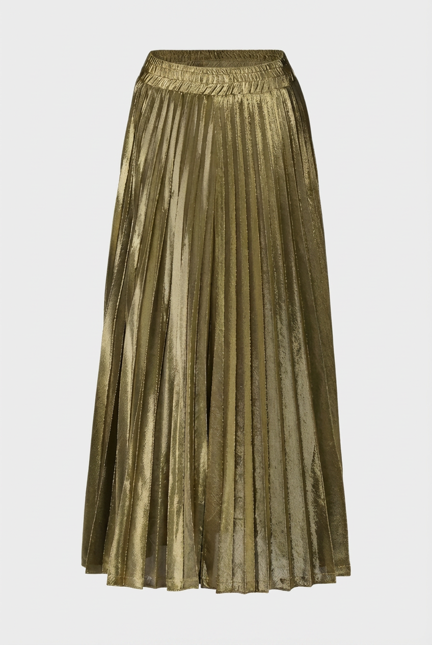 Women's Maxi Pleated Skirt Elegant Evening Formal Wear Stylish Event