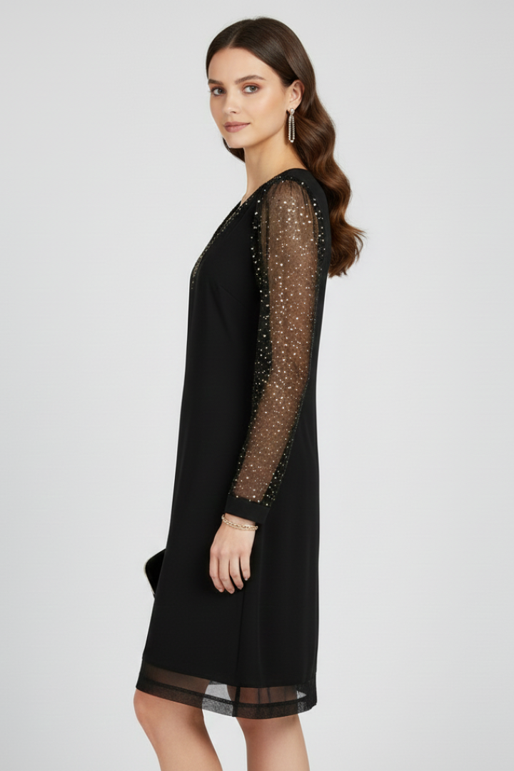 Women's V-Neck Fit and Flare Dress with Sequin Sleeves