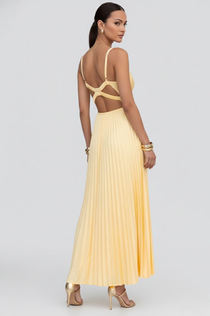 Women's V-Neck Pleated Maxi Dress